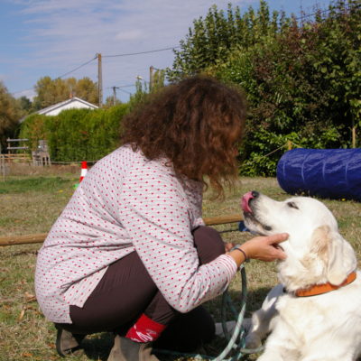 zootherapeute-chien zootherapeute-chien